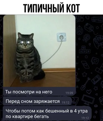 Мемы и картинки - 20.09.2023