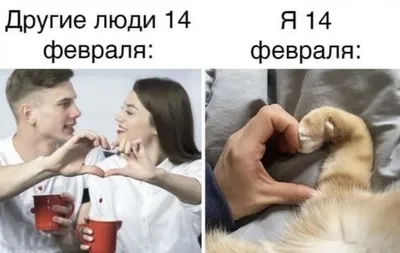 Мемы про День святого Валентина: как шутят украинцы - Афиша bigmir)net