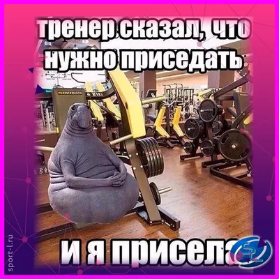 Анекдоты про тренеров - самые смешные шутки и приколы в их профессиональный  праздник - Телеграф