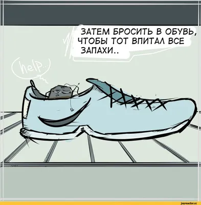 Зачем мне тренер? 😂😂😂 действительно ! #приколы #тренажерныйзал #при... |  TikTok