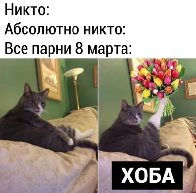 Прикольные картинки к 8 марта