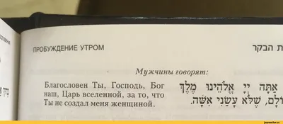 8 Марта: смешные поздравления в стихах для Ваших женщин - Телеграф