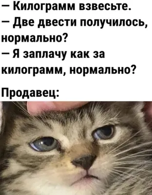 Ти Пн га J rjt I Lnjv Ж Х?»!ч íÉJV ËL i al, j Jifc 1 » J r-l □ 1 fA ipj »  il rrJ и |TI Tl / котэ (