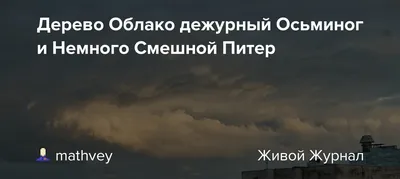 Она спросила, где он... (Цитата из книги «Питер Пэн» Джеймса Барри)