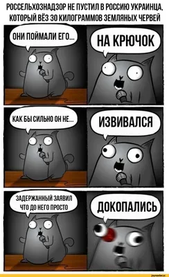 РОССЕЛЬХОЗНАДЗОР НЕ ПУСТИЛ В РОССИЮ УКРАИНЦА, КОТОРЫЙ ВЁЗ 30 КИЛОГРАММОВ  ЗЕМЛЯНЫХ ЧЕРВЕЙ ОНИ ПОЙМА / стендап-кот :: смешные картинки (фото приколы)  :: Смешные комиксы (веб-комиксы с юмором и их переводы) / смешные