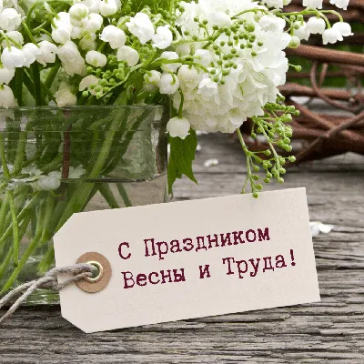 JoyReactor - смешные картинки и другие приколы: комиксы, гиф анимация,  видео, лучший интеллектуальный юмор.