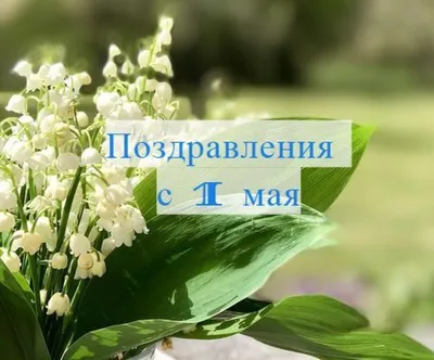 1 Мая :: праздник / смешные картинки и другие приколы: комиксы, гиф  анимация, видео, лучший интеллектуальный юмор.