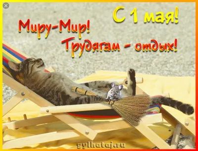 Смешные мемы про 1 мая | Мемология | Дзен