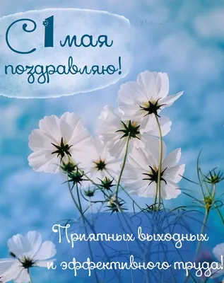 Идеи и шаблоны открыток к 1 мая – Блог Canva