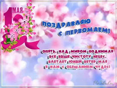 Смешные картинки в День покатушек с ветром 1 мая и яркие стихи |  Курьер.Среда | Дзен
