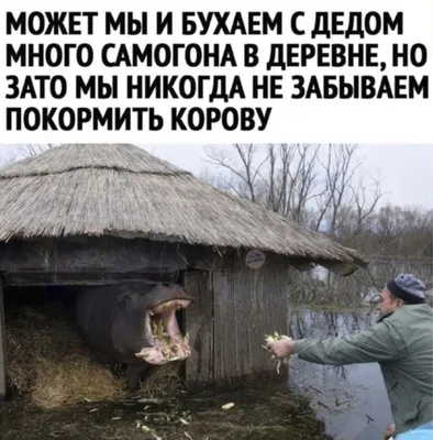 Прикольные поздравления с 1 мая: проза и открытки - Телеграф