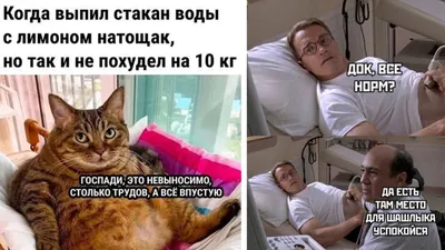 7 смешных комиксов про майские праздники, шашлыки и длинные выходные |  Смешные картинки | Дзен