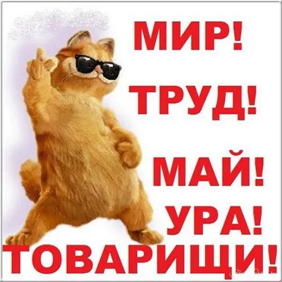 Самые прикольные открытки на 1 мая 2023 (110 шт)