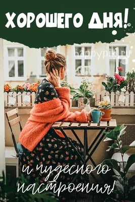 Хорошего дня! Чудесного настроения. | Картинки, Веселые картинки, Открытки