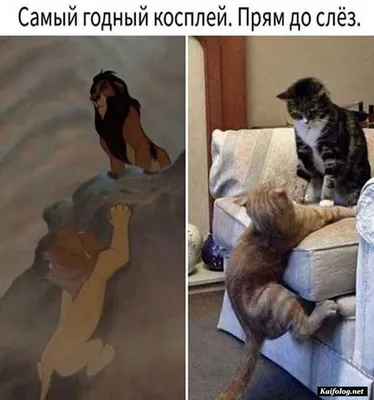 Забавные эмалированные значки со смешными надписями работа броши на заказ  аксессуары для рюкзака значки Модная бижутерия подарок для усталой работы  Бесплатная доставка | AliExpress