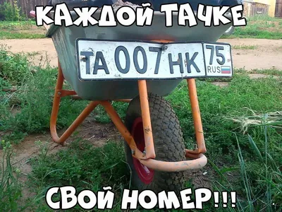 Прикольные картинки » Приколы, юмор, фото и видео приколы, красивые девушки  на кайфолог.нет