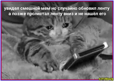 Самые страшные фильмы ужасов смотреть онлайн подборку. Список лучшего  контента в HD качестве