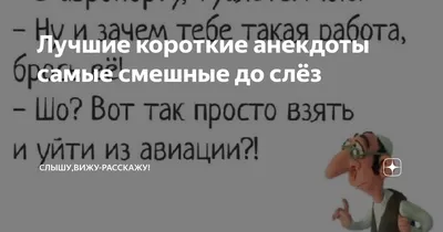 Смешные картинки про собак - Форум туристов и путешественников