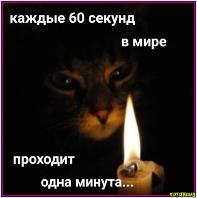 Забавные эмалированные значки со смешными надписями работа броши на заказ  аксессуары для рюкзака значки Модная бижутерия подарок для усталой работы  Бесплатная доставка | AliExpress