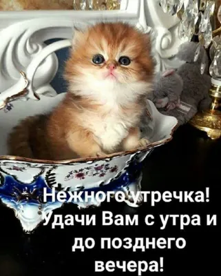 Прикольные картинки с надписями и красная точка | Mixnews