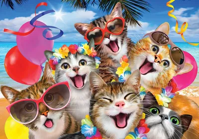 Изображение смеющейся кошки с надписью Здравствуй, мир!