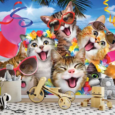 Изображение смеющейся кошки с надписью Настоящий кот