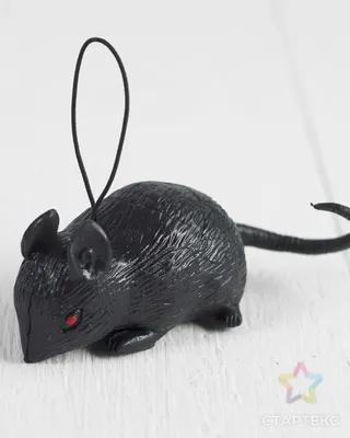 Прикол резиновая «Мышь», цвет чёрный - Артикул - СМЛ0004449311 - оптом  купить в Москве по недорогой цене в интернет-магазине Стартекс