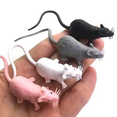 Искусственная мышь маленькой крысы, искусственная мышь, подарок на  Хэллоуин, игрушка, искусственный декор, розыгрыши, новинка, смешные игрушки  для детей, подарок, 8 шт. | AliExpress