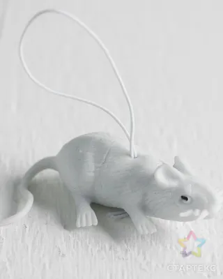 Симпатичные Смешные Мышки С Новым Годом 2020 Белая Металлическая Крыса  Согласно Китайскому Гороскопу Изолированная Ручная Нарисованная Ве —  стоковая векторная графика и другие изображения на тему 2020 - iStock