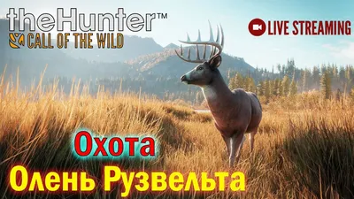 Смешные тачки: скачать фото бесплатно, формат - jpg, png, webp