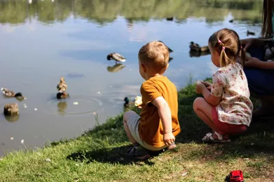 Пейзажи и цветы Смолевки: природные шедевры в фотографиях