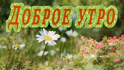 Доброе утро, хорошего дня, смс от банка с поступлением денег. | Детское  пособие в Москве и Московской Области. | ВКонтакте