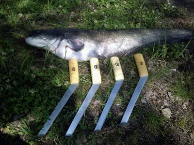 Монтаж для ловли сома на КВОК или со дна iFish с грузилом 80г: цена 170 грн  - купить Рыболовные снасти на ИЗИ | Украина