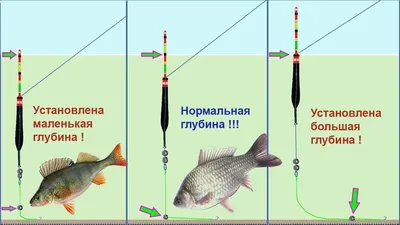 Оснастка поплавочной удочки на карася: гайд от экспертов рыболовов