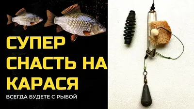 Убийца карася кормушка монтаж в сборе RapidFish 36327797 купить за 214 ₽ в  интернет-магазине Wildberries