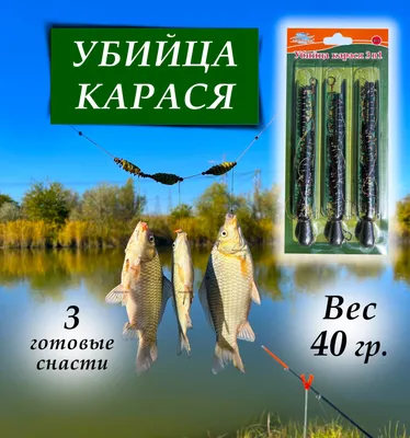 Оснастка рыболовная Akualux \"Убийца Карася\" 2 крючка 25гр. - Риболовні  снасті - AKUA| Купити черв`яки, опариш, мотиль, наживка, прикормка для  риболовлі у Києві, Харкові, Дніпрі, Одесі, Львові - купити оптом та в