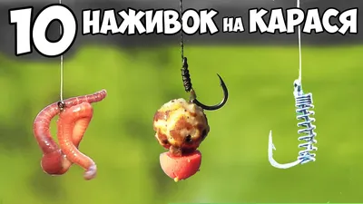 Поплавочная снасть на карася – Рыбалка онлайн 🎣 ProRybu.ru