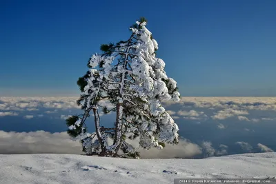 Идеальное снежное покрытие: фото снегопада в формате PNG