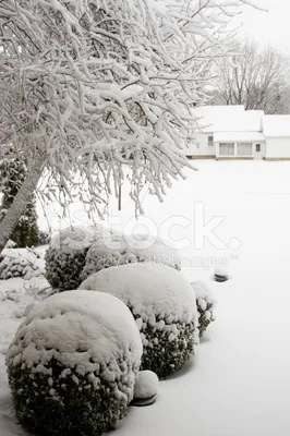 Пейзажи снеговых гор: фото, которые захватывают дух