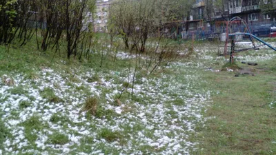 Фото Снег летом во всех размерах