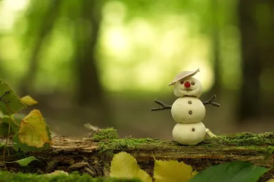 Нежные снежинки на фотографиях Снег летом