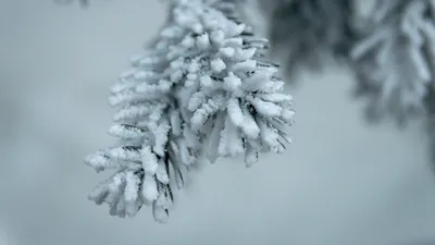 Скачать Снег летом в png формате
