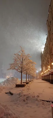 Сияющие фонари на снежных дорожках в ночи