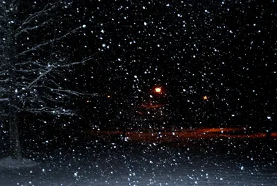 Замороженные капли на ветке снегом ночью