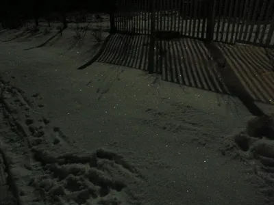 Горящие костры усыпаны свежим снегом ночью