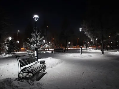 Снег ночью фотографии