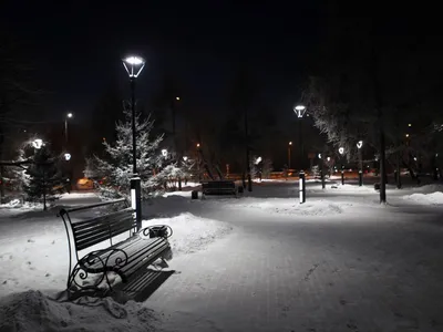 Мистический снежный покров во тьме