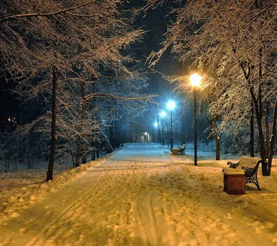 Таинственный снеговой ландшафт в ночи