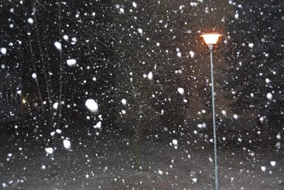 Феерическое зрелище снега ночью