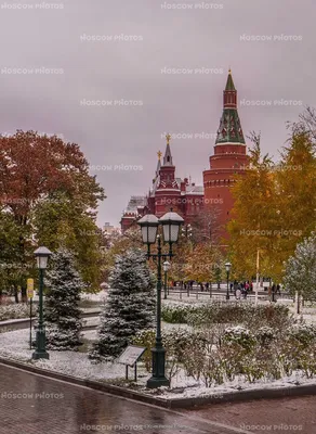 Осенний фон с нежными снежинками: скачивайте бесплатно